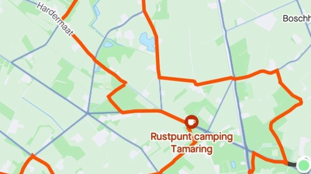 Dauwtrappen (donderdag  9 mei 2024)